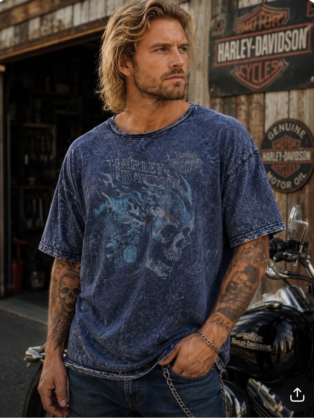 Harley blue flaming skull tee size 2X